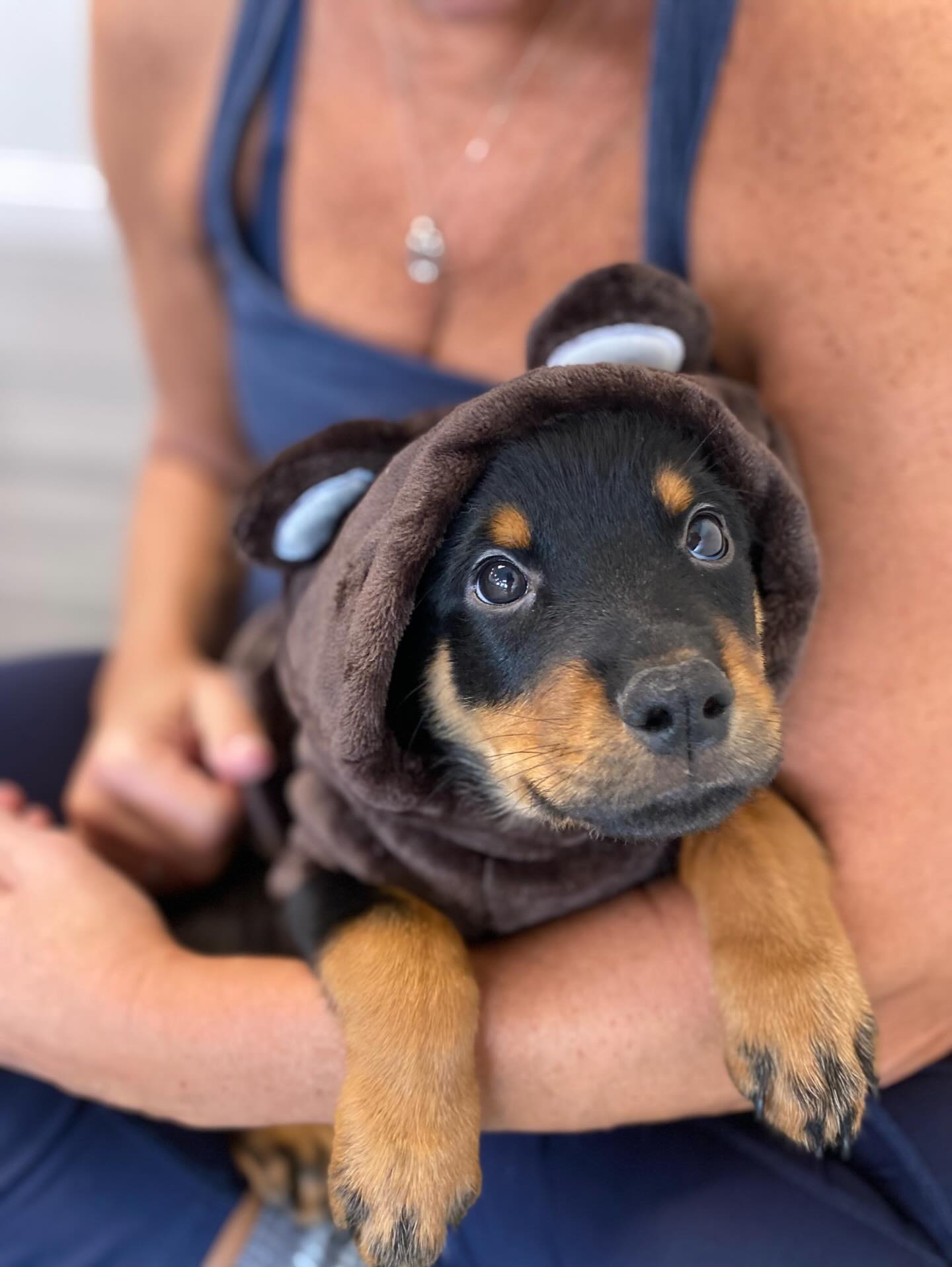puppiesyogabaltimore 1769011200 3815017731376846015 72185804646
