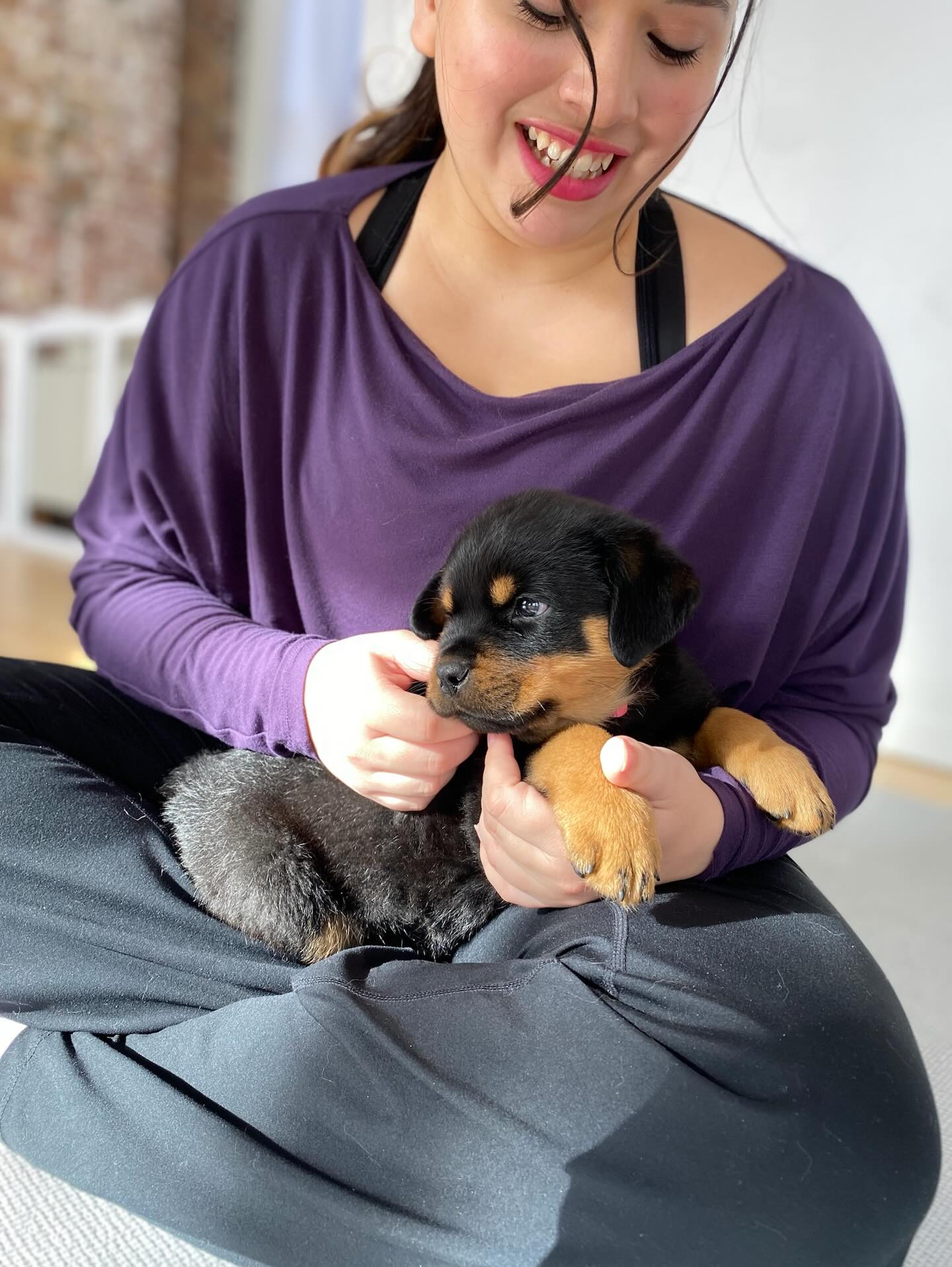 puppiesyogabaltimore 1769011200 3815017731393590607 72185804646