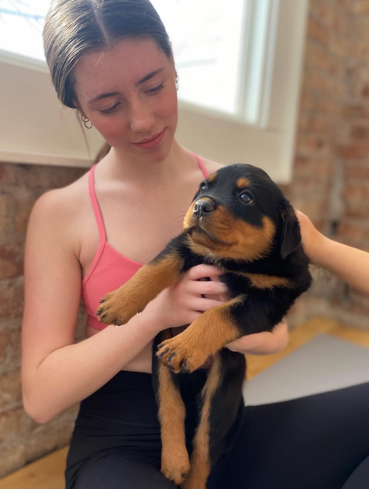 puppiesyogabaltimore 1769011200 3815017731401974793 72185804646