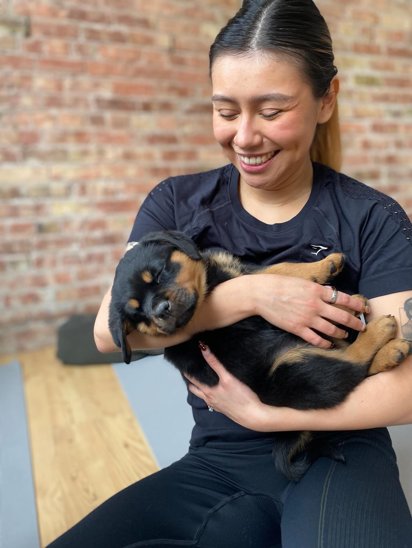 puppiesyogabaltimore 1769011200 3815017731427163602 72185804646