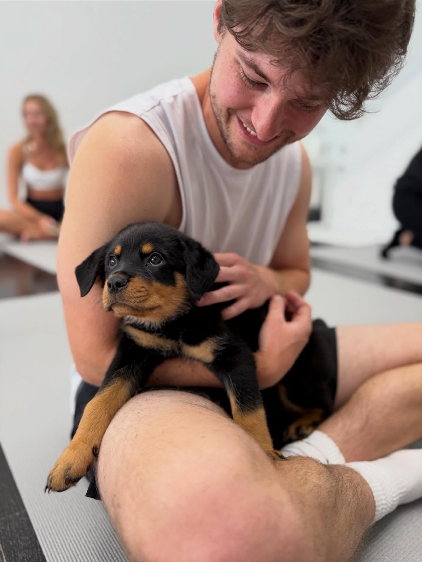puppiesyogabaltimore 1769011200 3815017731687211450 72185804646