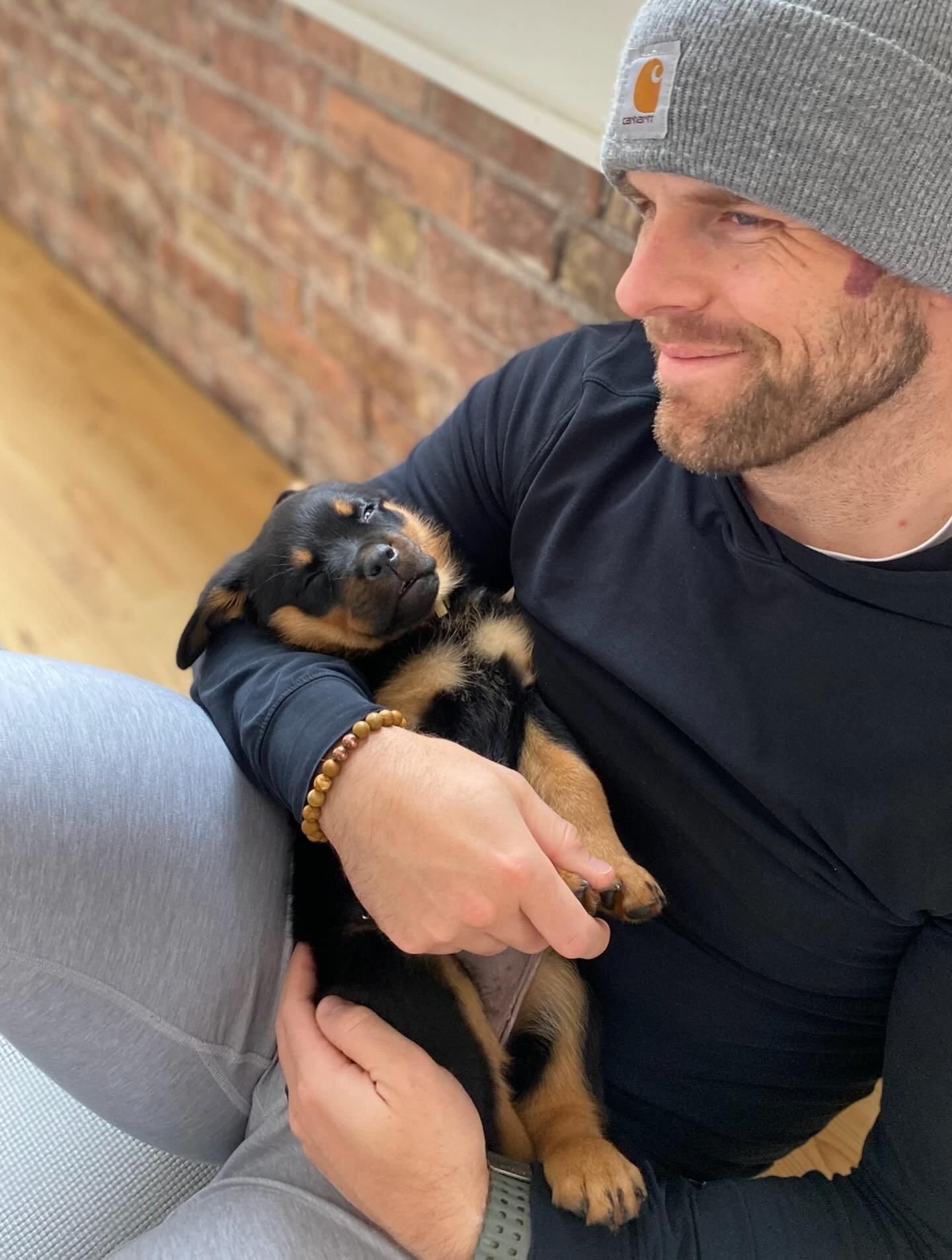 puppiesyogabaltimore 1769011200 3815017732157009642 72185804646